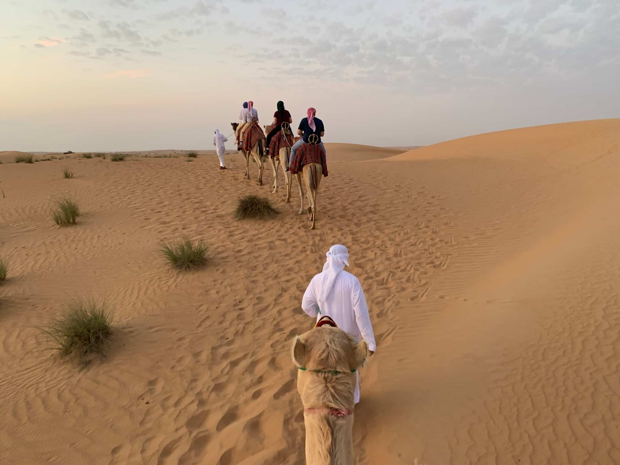 سفاري الصحراء والبدو