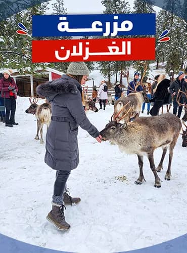 مزرعة الغزلان